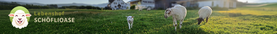 Lebenshof Schöflioase - Topbanner - FL