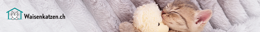 Waisenkatzen.ch - Topbanner - GE