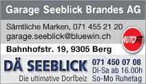 Seeblick Brandes AG