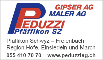 Peduzzi Gipser AG / Peduzzi Maler AG