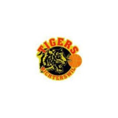  BC Richterswil Tigers