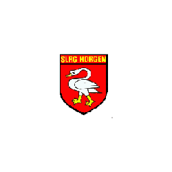 SLRG Sektion Horgen SLRG Sektion Horgen
