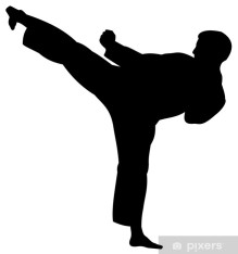  Karate Verein Wauwil 