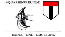 Aquarienfreunde Baden und Umgebung Aquarienfreunde Baden und Umgebung