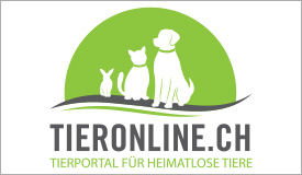 Tierinserate für Hunde, Katzen, Pferde, Kleintiere