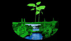 Verein Kulturbiotop Zürich Verein Kulturbiotop Zürich