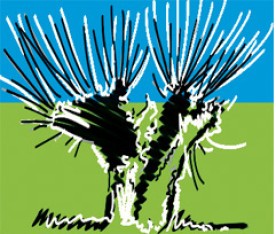  Naturschutzverein am Alten Rhein