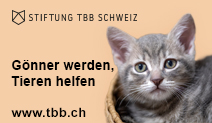 Stiftung TBB Schweiz Stiftung TBB Schweiz