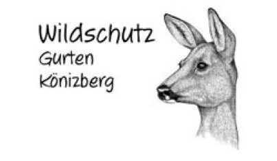  Wildschutz Gurten Könizberg